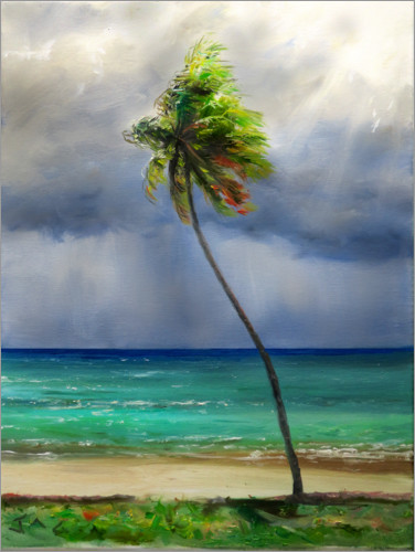 Poster Kokospalme im Wind