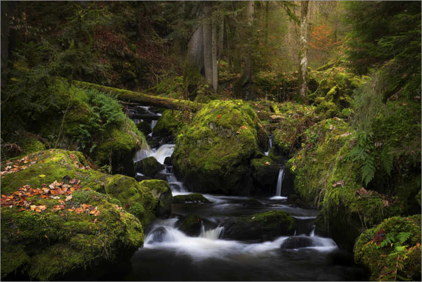 Poster Kleiner Wasserfall im Schwarzwald