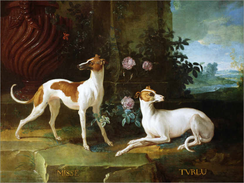 Poster Misse und Turlu, zwei Windhunde von Ludwig XV
