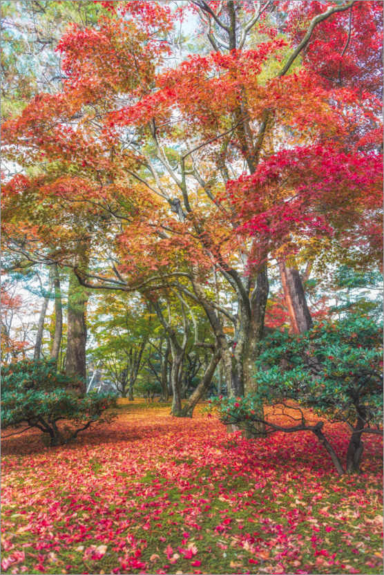 Poster Zauberhafter Herbst