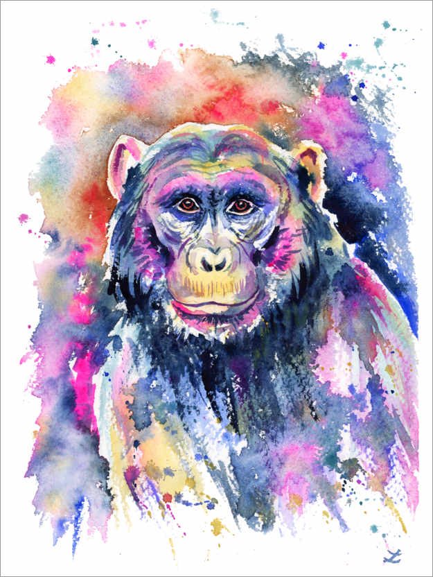 Poster Schimpanse