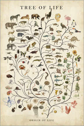 Poster Baum des Lebens (Englisch)
