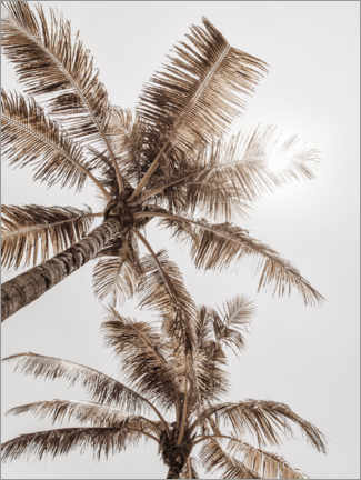 Leinwandbild  Goldene palme VI - Magda Izzard