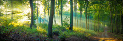 Leinwandbild  Wald Panorama - Martin Wasilewski
