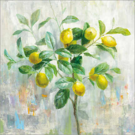 Acrylglasbild  Zitronenbaum - Danhui Nai