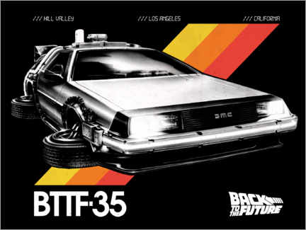 Poster  DeLorean VHS II