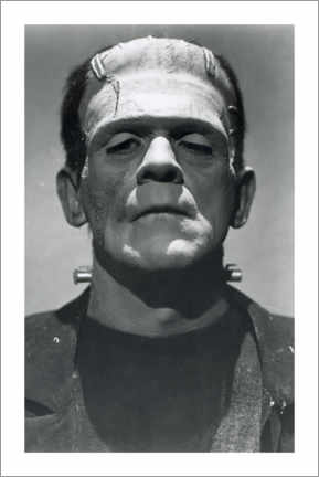 Poster  Frankenstein - Vintage shoot I