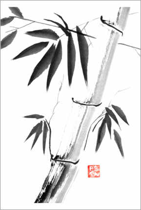 Leinwandbild  Bambus 06 - Péchane