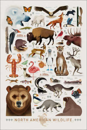 Poster  Nordamerikanische Tierwelt - Dieter Braun