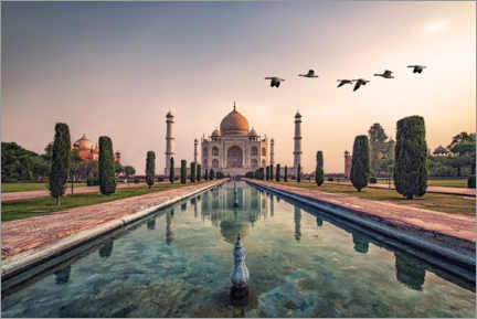 Alubild  Guten Morgen Agra - Manjik Pictures