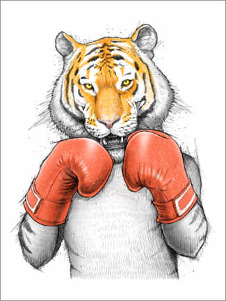 Acrylglasbild  Tigerboxer - Nikita Korenkov