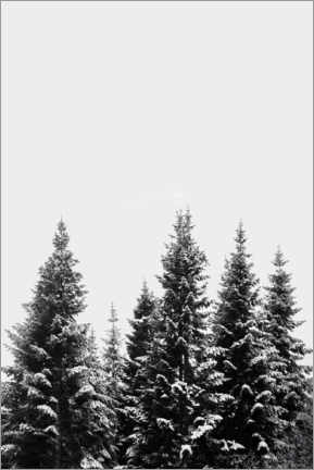 Poster Schneebedeckte Bäume