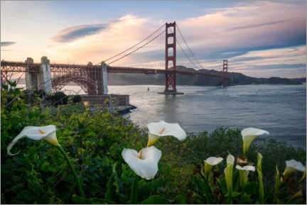 Poster Frühling an der Golden Gate Bridge