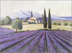 Wandsticker  Lavendelfelder - Franz Heigl