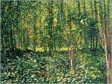 Wandsticker  Bäume und Unterholz - Vincent van Gogh