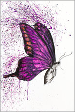 Poster Lied eines Schmetterlings