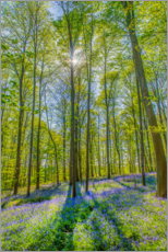 Poster Wald der Blauen Blumen III