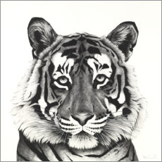 Acrylglasbild  Tigerkopf - Rose Corcoran
