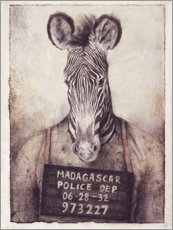 Acrylglasbild  Polizeifoto mit Zebra - Mike Koubou