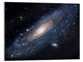 Acrylglasbild  Die Andromeda-Galaxie - Robert Gendler