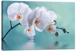 Leinwandbild  Orchidee mit Spiegelung II - Atteloi