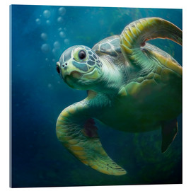 Acrylglasbild  Bubbles, die süsse Meeresschildkröte - Photoplace Creative