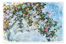 Wandbild  Der Rosenstrauch - Claude Monet