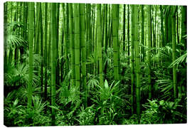 Leinwandbild  Bambuswald - GUGIGEI