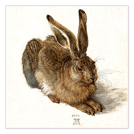 Wandbild  Hase - Albrecht Dürer