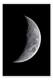 Wandbild  junger Mond - MonarchC