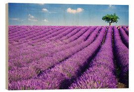 Holzbild  Lavendelfeld und Baum - Matteo Colombo