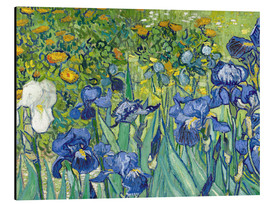 Alubild  Iris - Vincent van Gogh