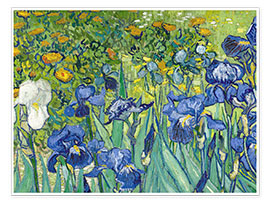 Poster  Iris - Vincent van Gogh