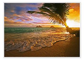 Poster Lanikai Beach bei Sonnenaufgang