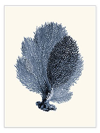 Poster Blaue Koralle, Fächer