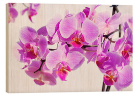 Holzbild  Schöne rosa-magenta Orchidee