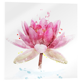 Acrylglasbild  Pinke Seerose