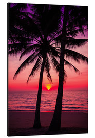 Alubild  Palmen und tropischer Sonnenuntergang