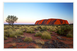 Poster Uluru, Australien