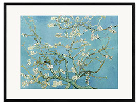 Gerahmter Kunstdruck  Mandelblüte - Vincent van Gogh