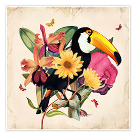 Wandbild  Oh My Parrot XII - Mandy Reinmuth
