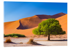 Acrylglasbild  Sanddünen und Akazienbäume bei Sossusvlei, Namibische Wüste, Namibia - Fabio Lamanna