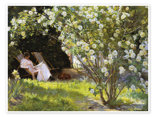 Poster Rosen, Marie Krøyer sitzt im Liegestuhl im Garten von Frau Bendsens Haus